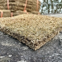 トヨタ自動車が開発した天然芝TM9 14束14㎡分 予定者決まりました！