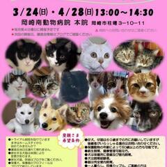 3月24日 保護犬＆保護猫の譲渡会、開催します！