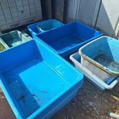 金魚 水槽 桶 船