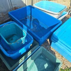 金魚 水槽 桶 船
