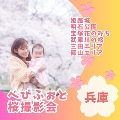 兵庫県　西宮市夙川沿い　桜撮影会
