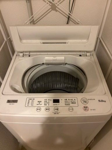 家電 生活家電 洗濯機