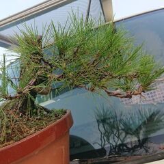 松値下げ💴⤵️