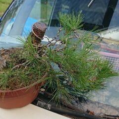 松値下げ💴⤵️