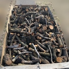 桃の木 薪 玉切り