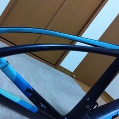 トレックドマーネSL5ディスク 2019 フレームセット