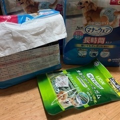 小型犬用紙オムツ