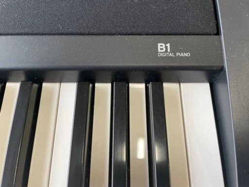 2019年製 KORG B1 デジタルピアノ 88鍵盤-専用スタンド・ペダル KORG
