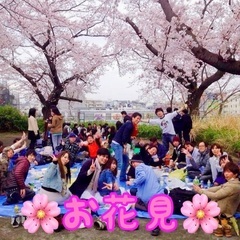 ３月２４日（日）１３時〜横浜でお花見🌸