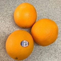 【24日まで】食品　オレンジ　条件あり