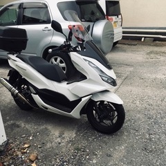 【ネット決済】pcx160 (低距離)