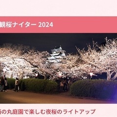 3/26(火)大阪城夜桜ライトアップ撮影会