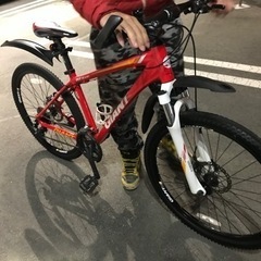 自転車 マウンテンバイク