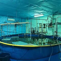 閉鎖循環　陸上養殖システム　10トン水槽