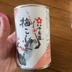 梅昆布茶