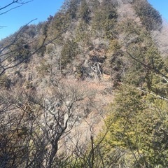 40代〜平日登山仲間募集【埼玉　栃木　茨城】の画像