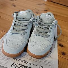 NIKE SB DUNK です