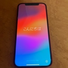 iPhone12 今日限定