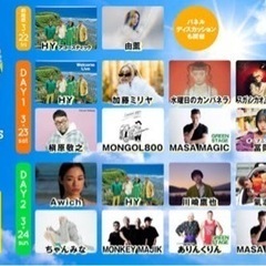 HY SKY Fes 3/23（土）大人１枚