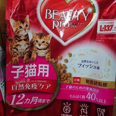 【再々値下げしました！】子猫用フード　ビューティープロ