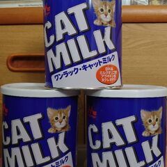 引き渡し者決定　子猫　ミルク缶　ワンラックキャットミルク