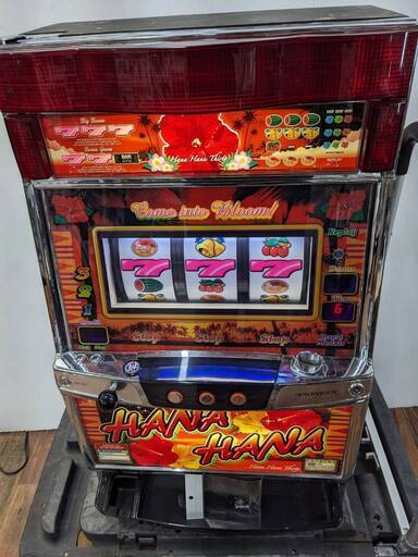 ニューハナハナ 30 P5NHD-30 30Φ 家庭用電源 パチスロ スロット ドアキー設定キー有り 現状品