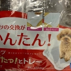 犬　おトイレ　トレー