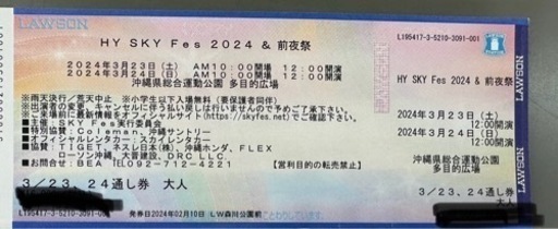 最安値 HYスカイフェス 3月23日24日 通し券1枚