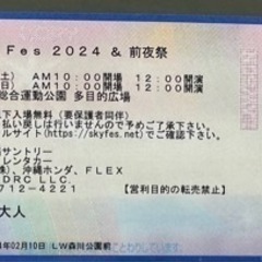 スカイフェス　2日通し券　１枚　取引完了 スカイフェス 2日通し券 1枚 取引完了