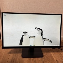 Iiyama ProLite XU2590HS