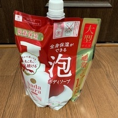 生活雑貨 洗濯用品 洗剤