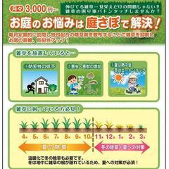 ★ジモティ初記念★お庭の雑草月々3,000円から毎月行います!