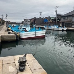 親身な新湊！内川探検隊🐥🍟