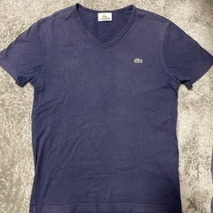 LACOSTE Tシャツ　　Sサイズ程度