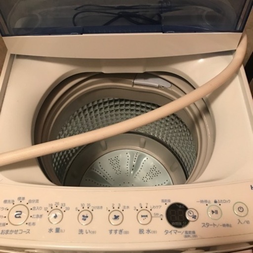 家電 生活家電 洗濯機