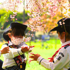 ガールスカウト会員募集中！（久喜・幸手・白岡・宮代）の画像