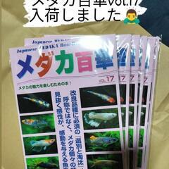 【最新】めだか百華17入荷‼️名古屋改良メダカ直売所！　〜ＮＭＢ〜