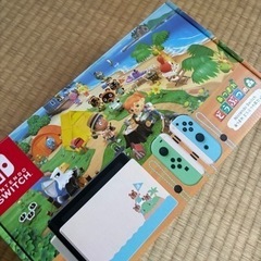 本日限定価格　Switch どうぶつの森