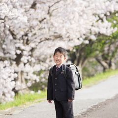 🌸桜撮影会🌸1000円 - 厚木市