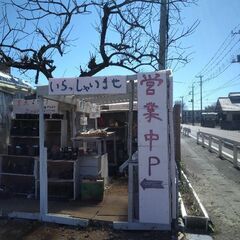 太田ー大間々県道沿いにメダカ、草花、野菜などの無人販売所仮オープン
