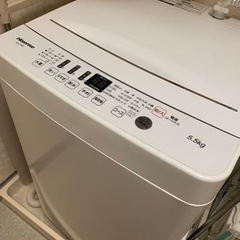 2019年製◆洗濯機5.5kg◆HISENSE HW-T55D