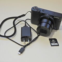 SONY  Cyber shot DSC-RX100