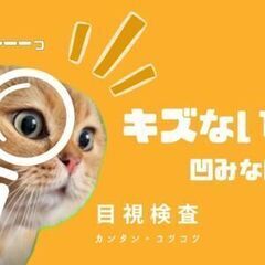 その傷、オレでなきゃ見逃しちゃうね。簡単目視検査☆じっと見て部品...