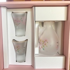 🍶林静一　冷酒セット🍶