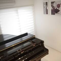 【ピアノや楽器の練習会】 少人数で練習を行う大人の趣味の会です☆ - 渋谷区