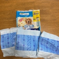 犬用オムツ　マナーウェア