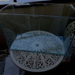 フレームレスガラス水槽(60cm)と水草２種のセット