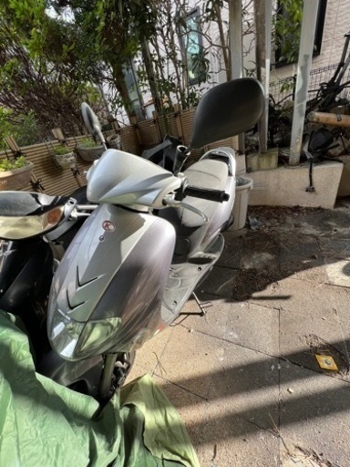 バイタリティ50