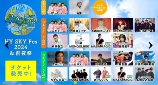 定価以下】2024 HYスカイフェス チケット