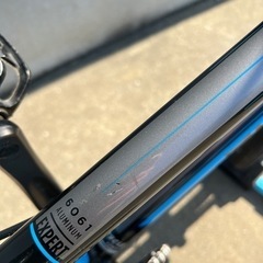 ☆HARO EXPERT ANNEX☆BMXレーサー